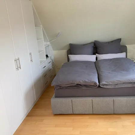 Bei Der Purpurbuche Daire